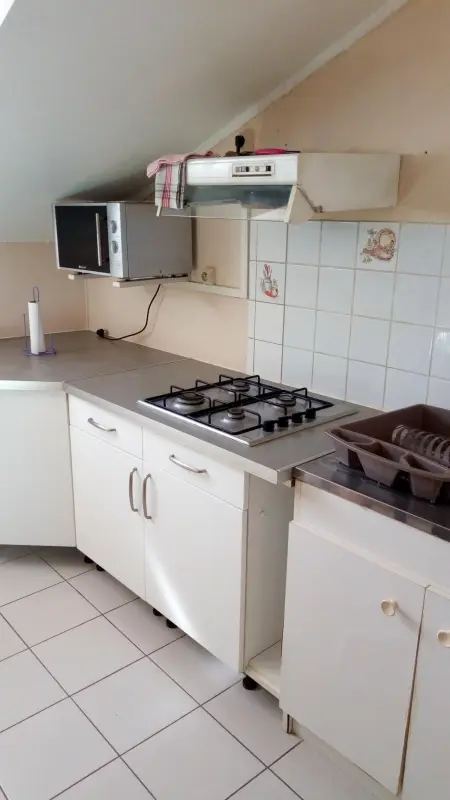 Appartement ensoleillé à Goyave, 50 m², vue mer et balcon - Photo 7