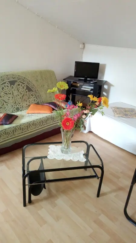 Appartement ensoleillé à Goyave, 50 m², vue mer et balcon - Photo 9