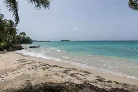 Studio vue mer avec terrasse à Le Gosier, 42 m² en Guadeloupe : photo 23