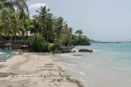Studio vue mer avec terrasse à Le Gosier, 42 m² en Guadeloupe : photo 24