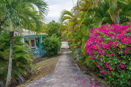 Studio vue mer avec terrasse à Le Gosier, 42 m² en Guadeloupe : photo 33