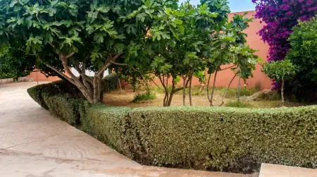 Villa de charme à Tou Ganaou avec piscine privée chauffée : photo 26