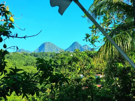 Location appartement à Fort de France
