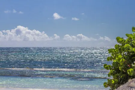 Villa charmante à Sainte-Anne avec piscine privée - Photo 25