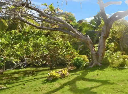 Maison charmante à Sainte-Anne avec jardin clôturé - Photo 10