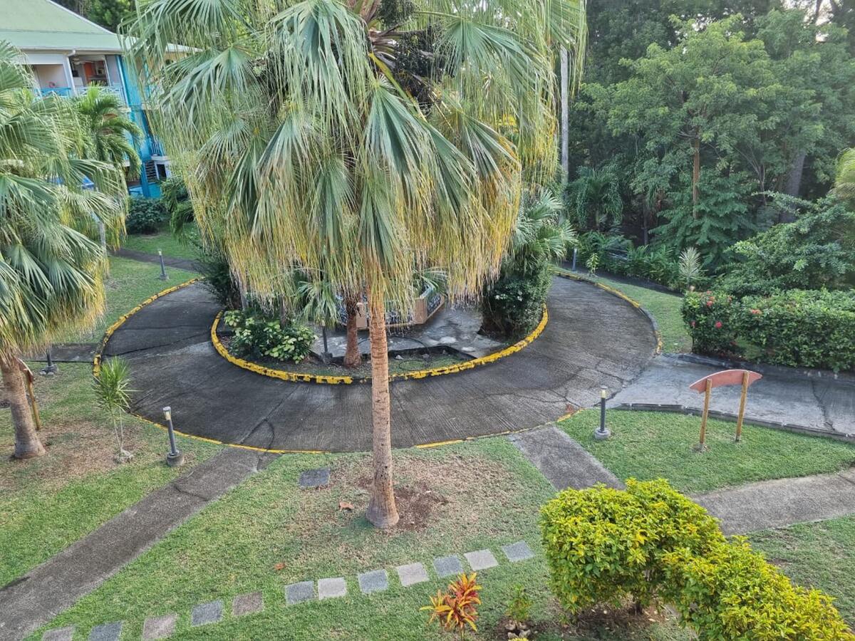 Studio 25 m² avec terrasse et jardin à Sainte-Anne - Photo 34