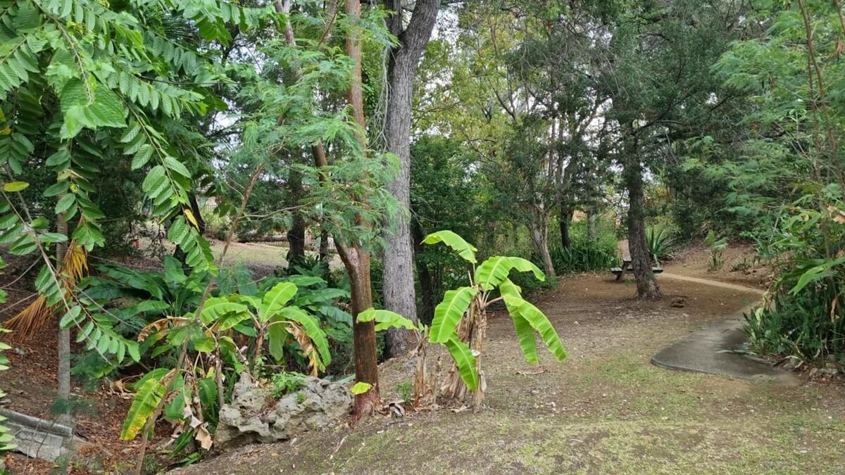 Studio 25 m² avec terrasse et jardin à Sainte-Anne - Photo 47