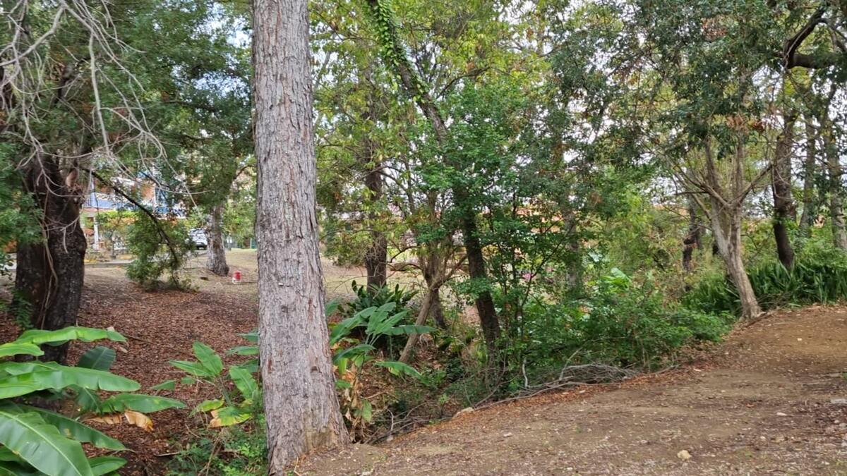 Studio 25 m² avec terrasse et jardin à Sainte-Anne - Photo 66