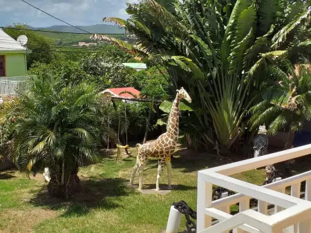 Studio Sainte-Anne avec piscine partagée et terrasse, Martinique : photo 6