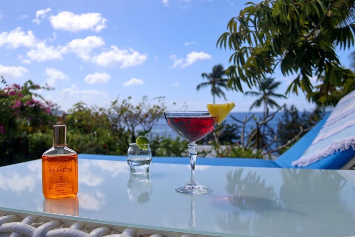 Villa 3 étoiles avec piscine et kayaks à Saint-Pierre - Photo 10
