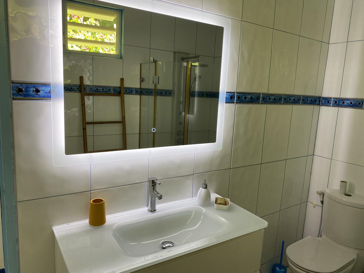 Villa 3 étoiles avec piscine et kayaks à Saint-Pierre - Photo 15