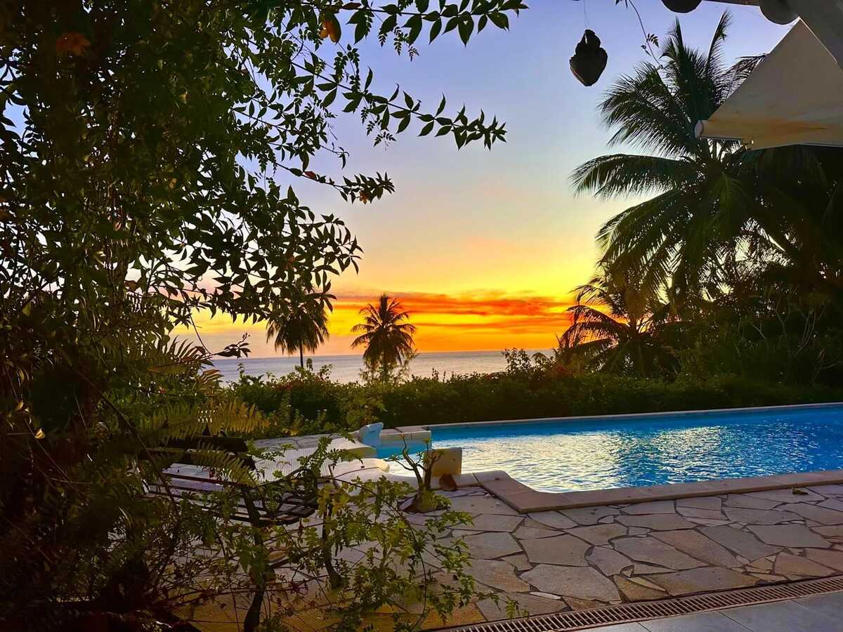 Villa 3 étoiles avec piscine et kayaks à Saint-Pierre - Photo 26