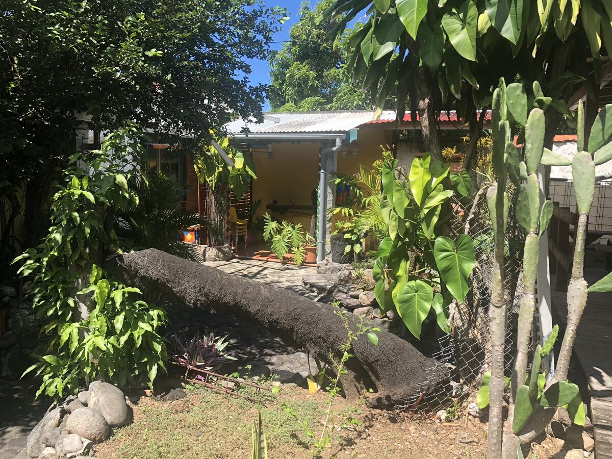 Studio 15 m² avec terrasse et grill à Basse Terre - Photo 2