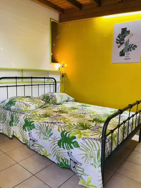Location appartement à Basse Terre, Studio charmant à Basse Terre, vue sur jardin, 15 m²