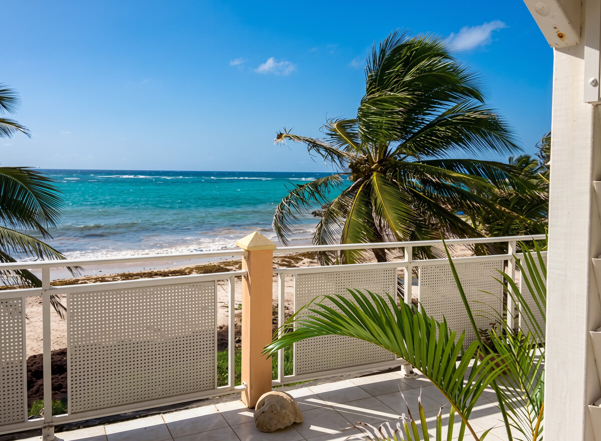 Studio 20 m² avec terrasse et vue mer à Capesterre-de-Marie-Galante - Photo 1