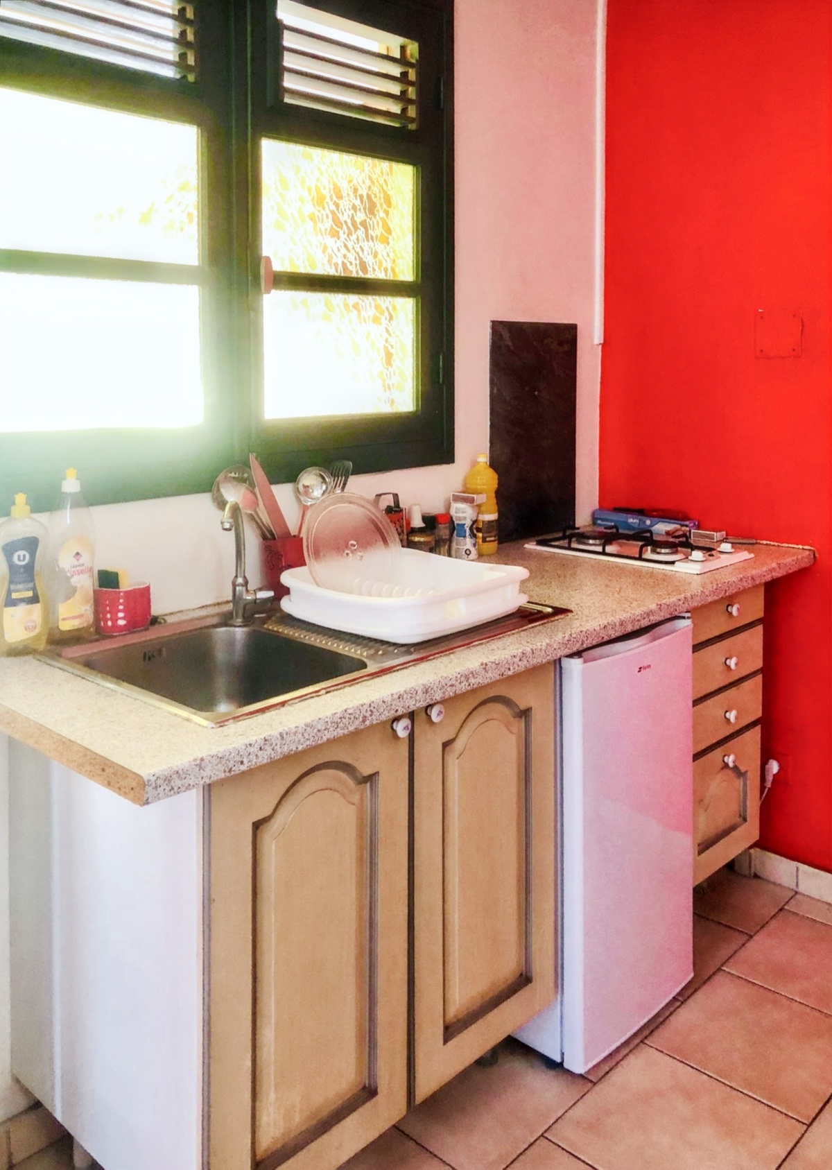 Appartement 25 m² avec jardin et terrasse à Basse-Terre - Photo 2
