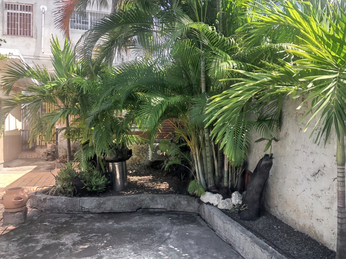 Appartement 25 m² avec jardin et terrasse à Basse-Terre - Photo 6