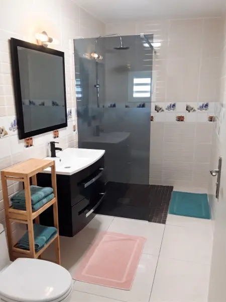 Appartement 55 m² avec terrasse privée au Tampon, La Réunion : photo 4