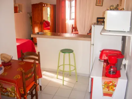 Studio 24 m² avec terrasse et jardin clos à Capesterre Belle Eau : photo 6