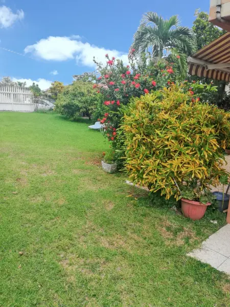 Studio avec terrasse et jardin clos à Sainte-Luce, Martinique : photo 10