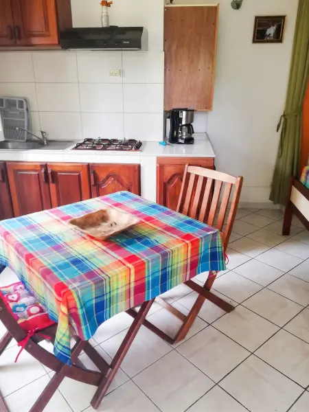 Studio avec terrasse et jardin clos à Sainte-Luce, Martinique : photo 19