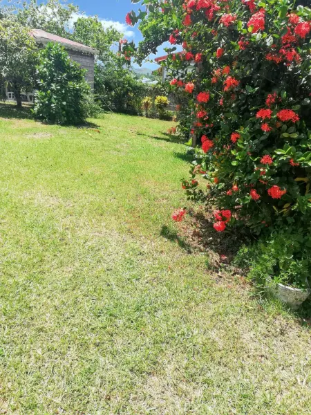 Studio avec terrasse et jardin clos à Sainte-Luce, Martinique : photo 28