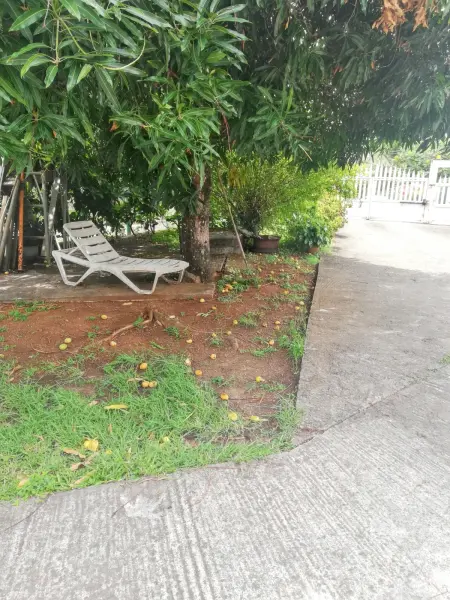 Studio avec terrasse et jardin clos à Sainte-Luce, Martinique : photo 29