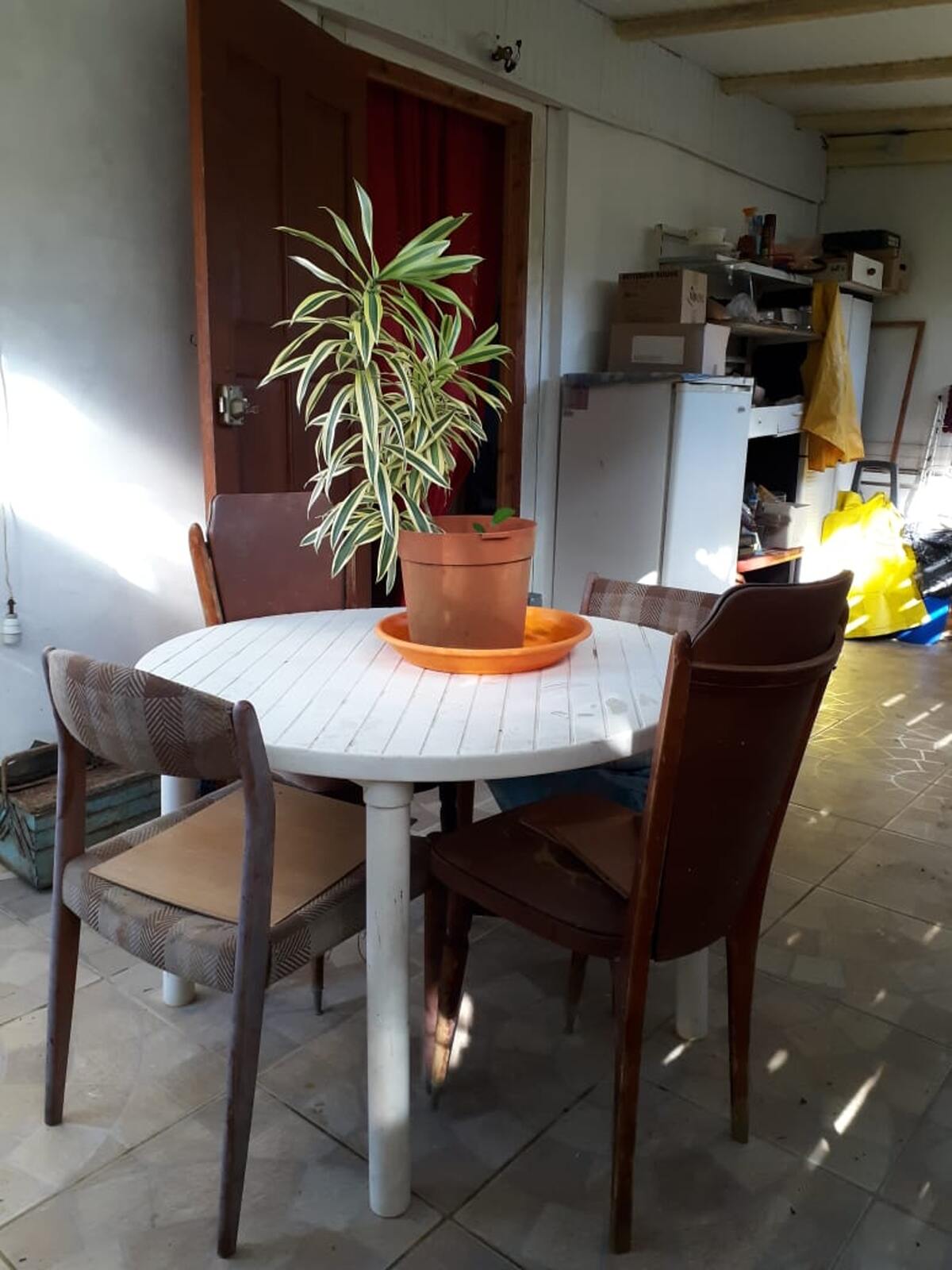 Maison 54 m² avec terrasse et jardin à Petit-Bourg - Photo 2