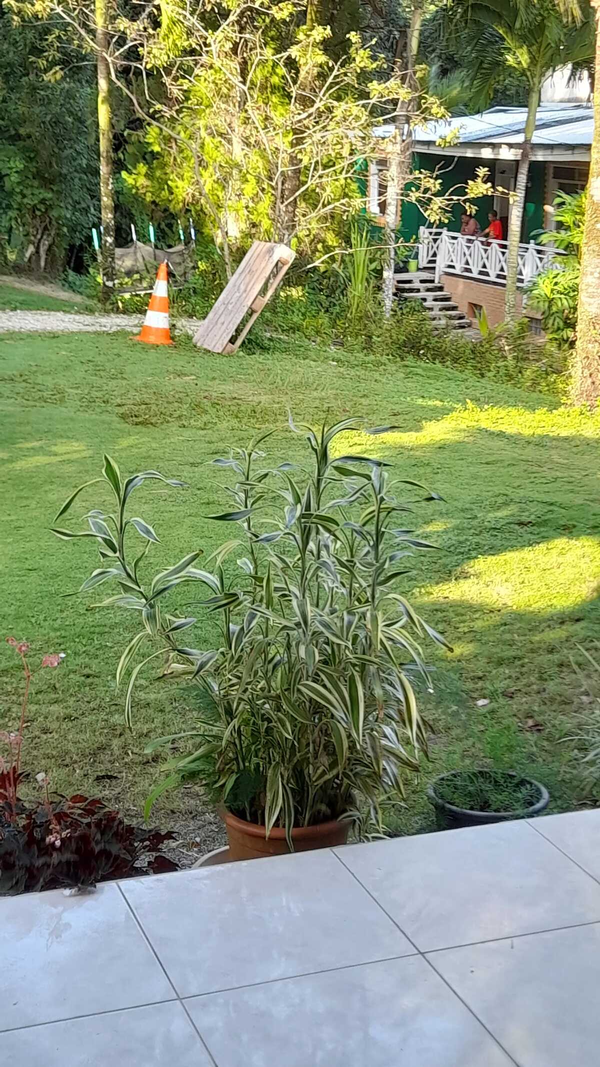 Maison 54 m² avec terrasse et jardin à Petit-Bourg - Photo 3