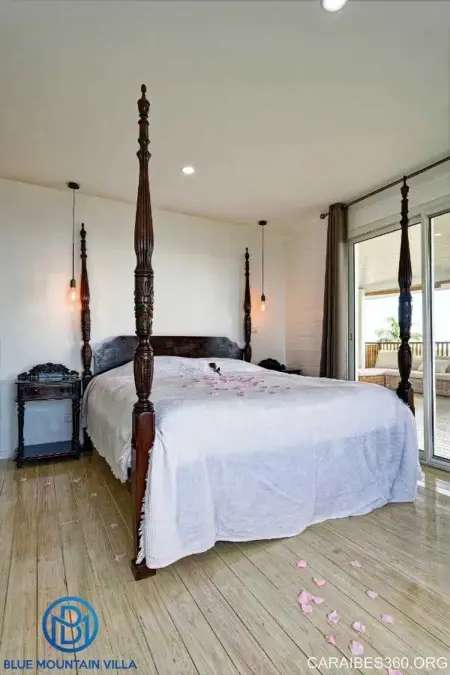 Villa avec piscine privée, vue mer et montagne au Carbet : photo 10