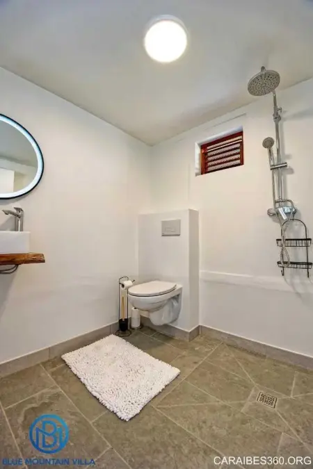 Villa avec piscine privée, vue mer et montagne au Carbet : photo 11