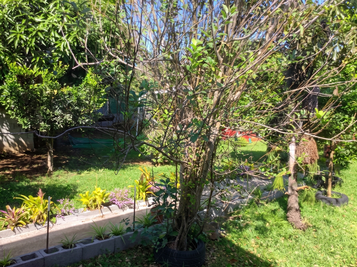 Villa 10 pers., 4 ch. avec piscine à Le Tampon - Photo 17