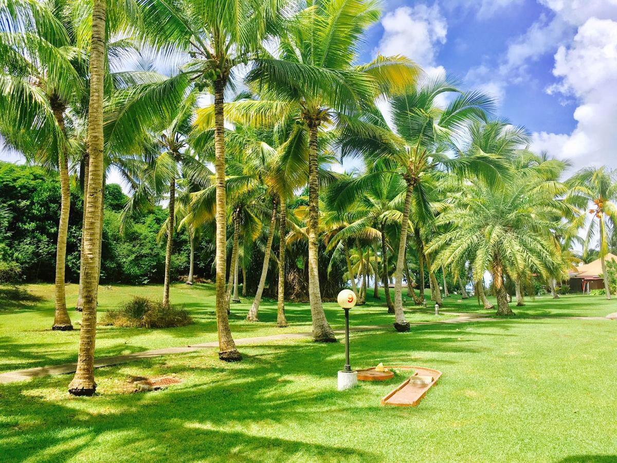 Studio 27m² Anse Des Rochers, piscine & vue mer - Photo 17