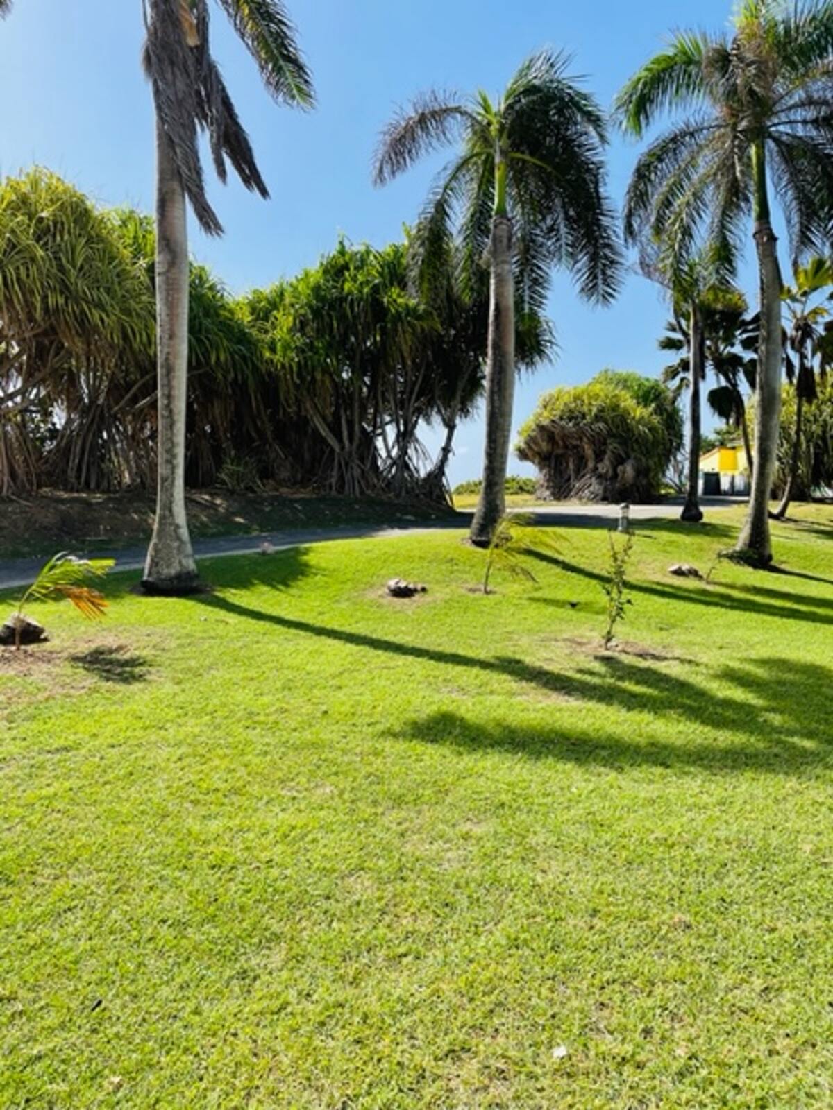 Studio 27m² Anse Des Rochers, piscine & vue mer - Photo 21