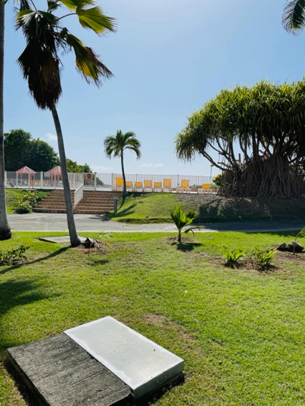 Studio 27m² Anse Des Rochers, piscine & vue mer - Photo 22