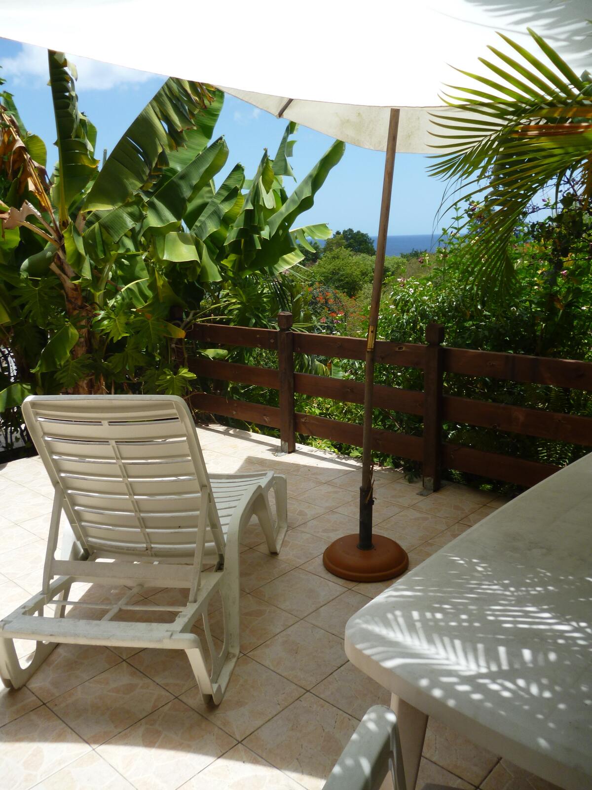 Studio 30 m² avec jardin et vue mer à Marigot - Photo 6