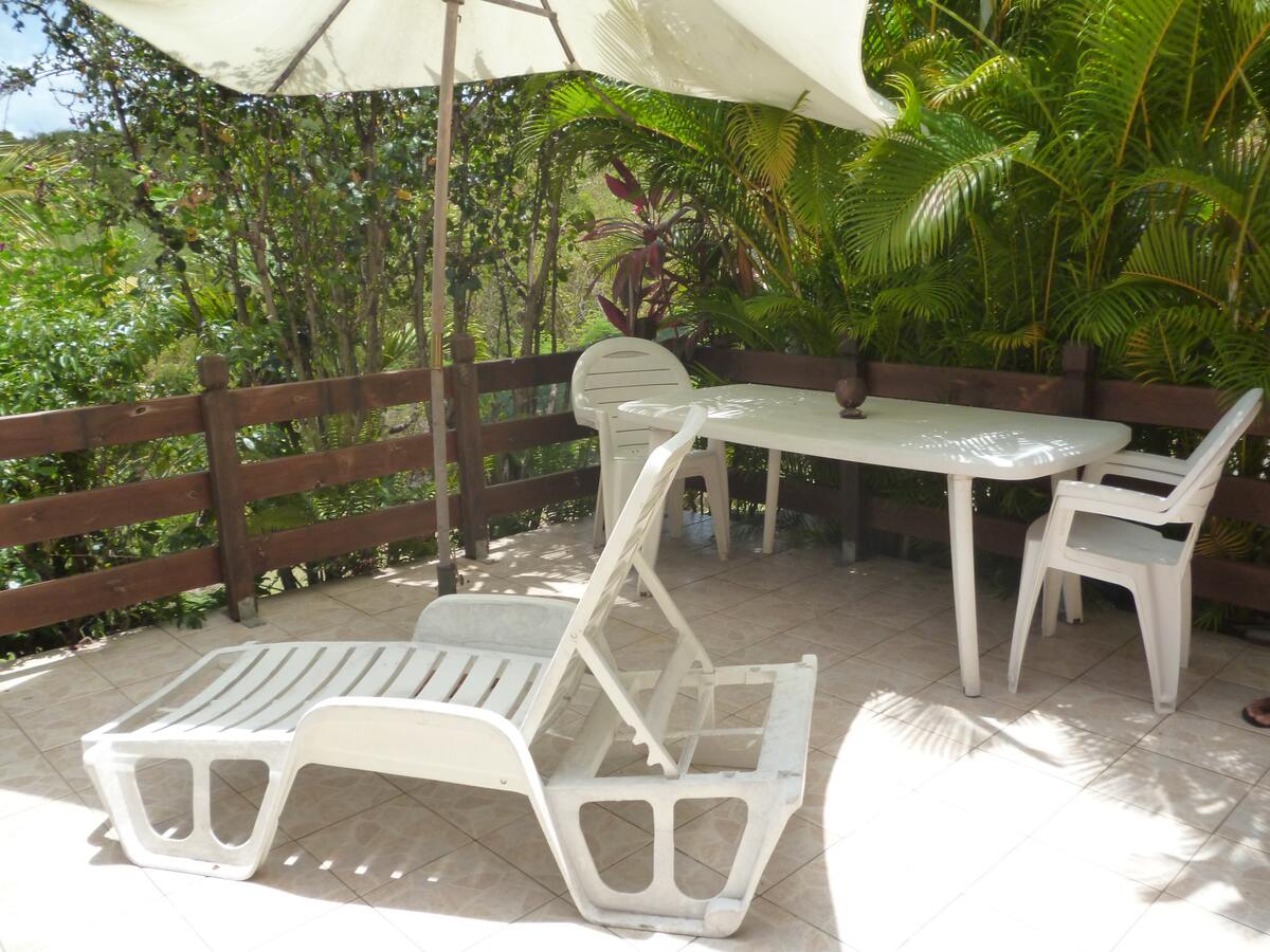 Studio 30 m² avec jardin et vue mer à Marigot - Photo 10