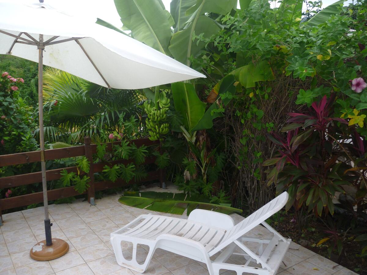 Studio 30 m² avec jardin et vue mer à Marigot - Photo 12