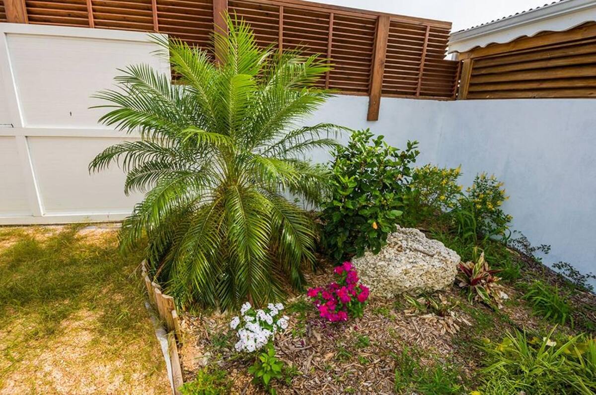Maison 8 personnes avec piscine et jacuzzi à Anse-Bertrand - Photo 14
