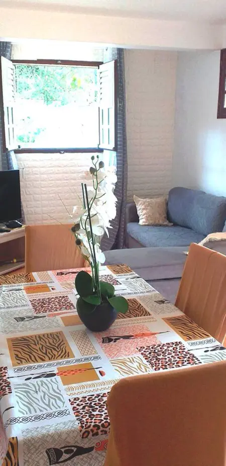 Appartement 2 chambres avec jardin semi-enclos au Robert, Martinique : photo 6