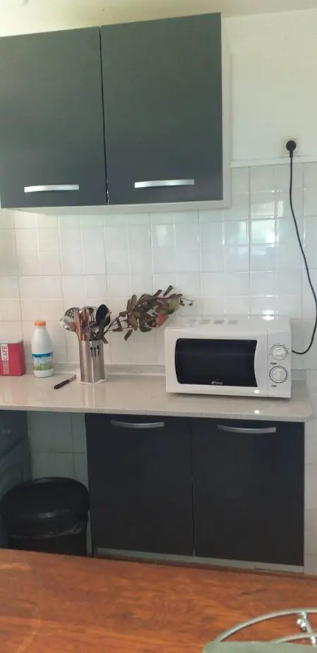 Appartement 2 chambres avec jardin semi-enclos au Robert, Martinique : photo 8