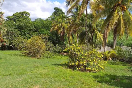 Appartement 2 chambres avec jardin semi-enclos au Robert, Martinique : photo 14