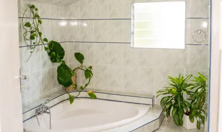 Studio 40 m² avec piscine partagée à Saint-Joseph, La Réunion : photo 7