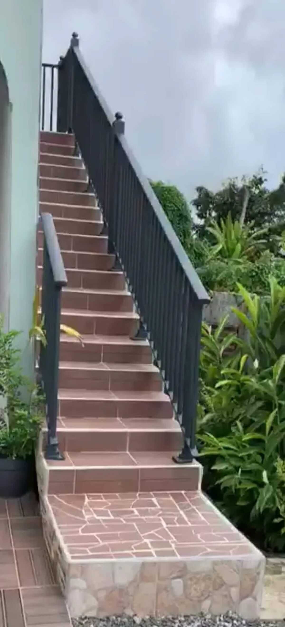 Appartement 3 chambres avec jardin et vue mer à Capesterre-Belle-Eau - Photo 16