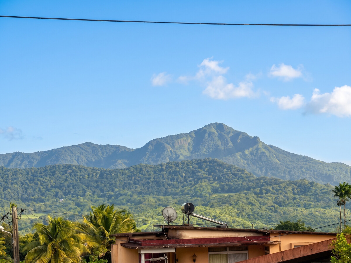 Maison 6 personnes avec terrasse à Le Morne-Rouge - Photo 15