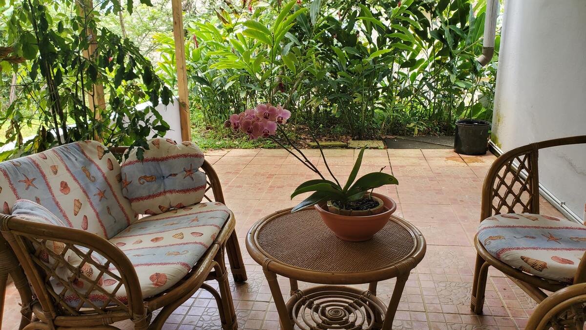 Appartement avec terrasse et barbecue à Sainte-Rose - Photo 11