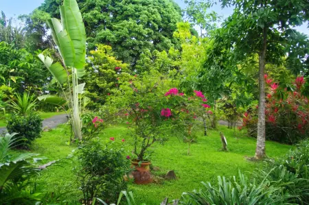 Appartement 40 m² avec jardin et terrasse à Baie-Mahault : photo 5