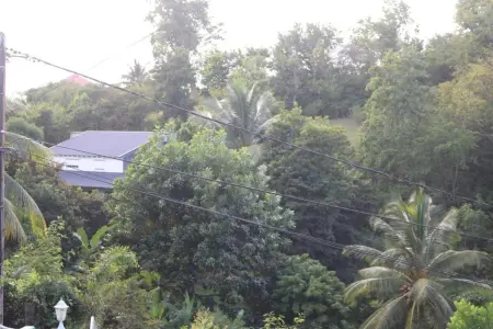 Appartement avec vue montagne et jardin au Gosier, Guadeloupe : photo 12