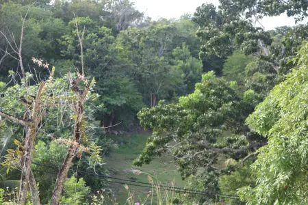 Appartement avec vue montagne et jardin au Gosier, Guadeloupe : photo 13
