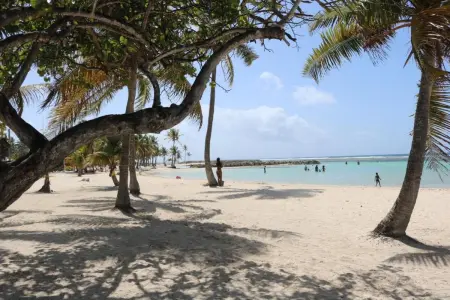 Appartement avec vue montagne et jardin au Gosier, Guadeloupe : photo 15